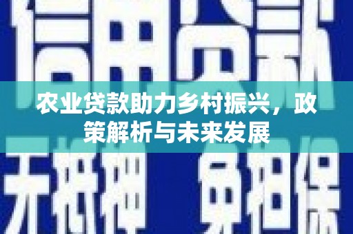 夏邑农业贷款助力乡村振兴，政策解析与未来发展