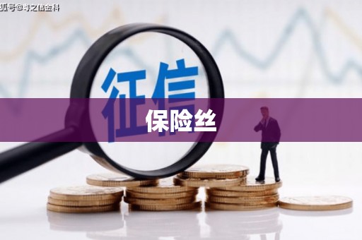夏邑保险丝