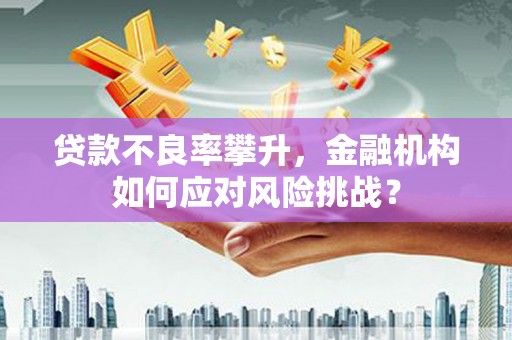 夏邑贷款不良率攀升，金融机构如何应对风险挑战？