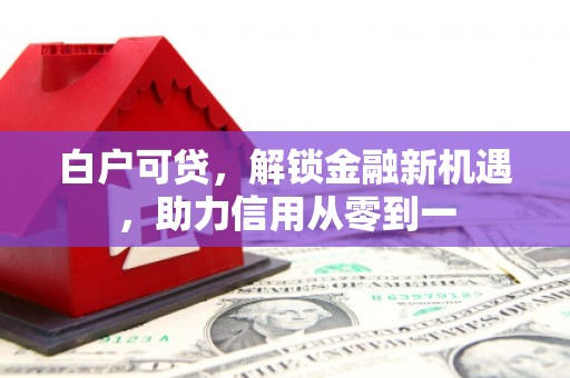 夏邑白户可贷，解锁金融新机遇，助力信用从零到一