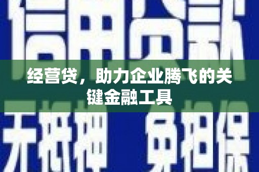 夏邑经营贷，助力企业腾飞的关键金融工具