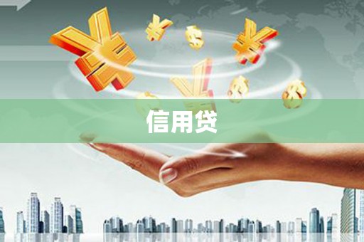 夏邑信用贷