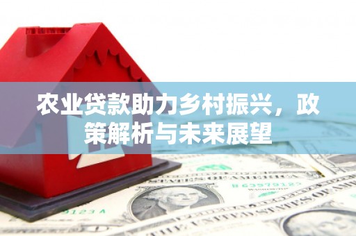 夏邑农业贷款助力乡村振兴，政策解析与未来展望