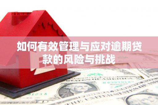 夏邑如何有效管理与应对逾期贷款的风险与挑战