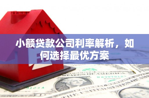 夏邑小额贷款公司利率解析，如何选择最优方案