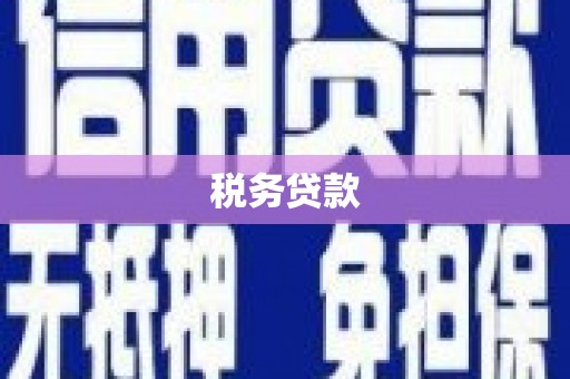 夏邑税务贷款