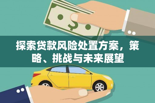 夏邑探索贷款风险处置方案，策略、挑战与未来展望