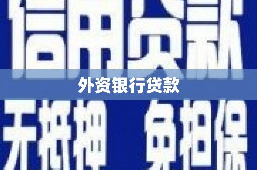夏邑外资银行贷款