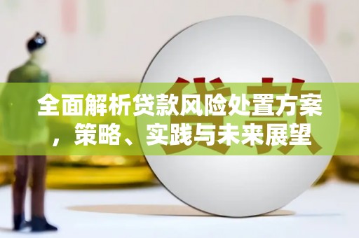 夏邑全面解析贷款风险处置方案，策略、实践与未来展望