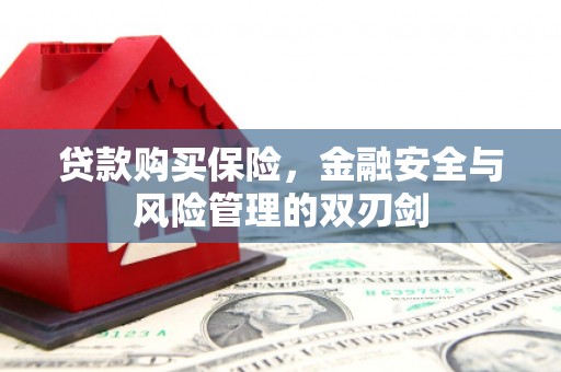 夏邑贷款购买保险，金融安全与风险管理的双刃剑
