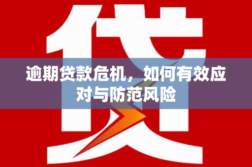 夏邑逾期贷款危机，如何有效应对与防范风险