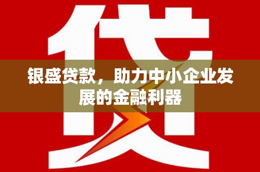夏邑银盛贷款，助力中小企业发展的金融利器