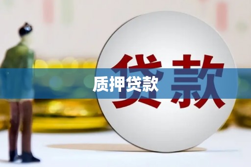 夏邑质押贷款