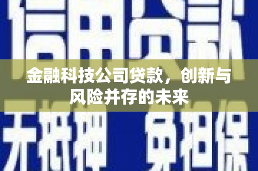 夏邑金融科技公司贷款，创新与风险并存的未来
