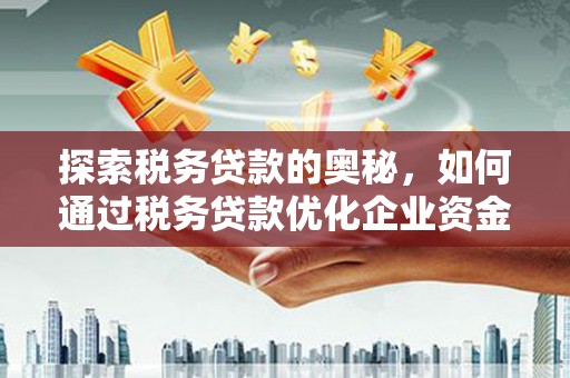 夏邑探索税务贷款的奥秘，如何通过税务贷款优化企业资金流