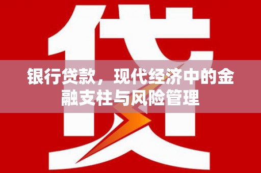 夏邑银行贷款，现代经济中的金融支柱与风险管理