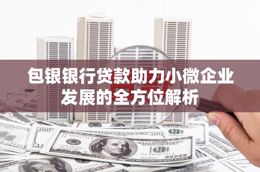夏邑包银银行贷款助力小微企业发展的全方位解析