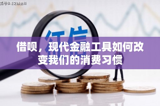 夏邑借呗，现代金融工具如何改变我们的消费习惯