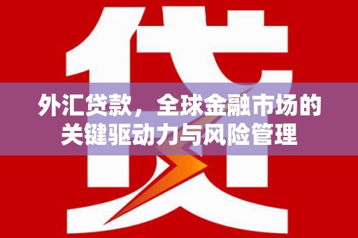 夏邑外汇贷款，全球金融市场的关键驱动力与风险管理