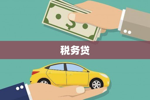夏邑税务贷