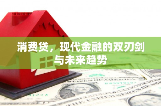 夏邑消费贷，现代金融的双刃剑与未来趋势