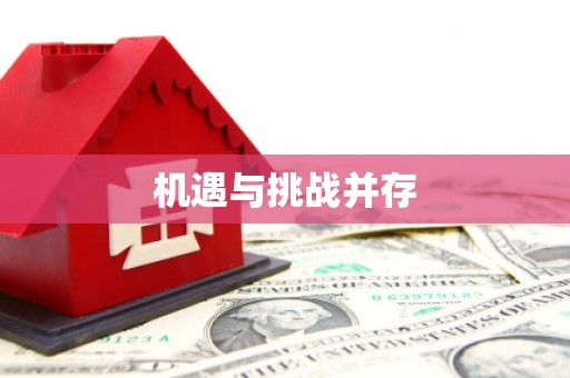 夏邑机遇与挑战并存