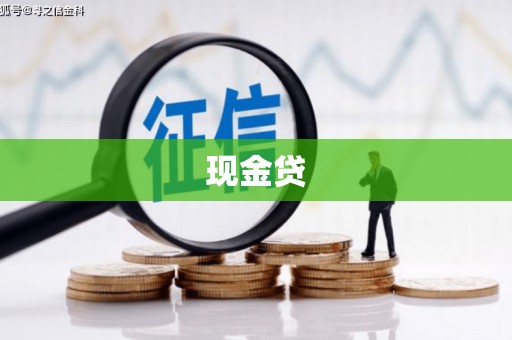 夏邑现金贷