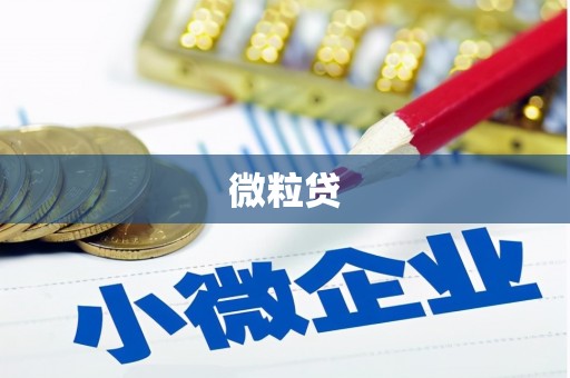 夏邑微粒贷
