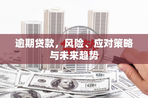 夏邑逾期贷款，风险、应对策略与未来趋势