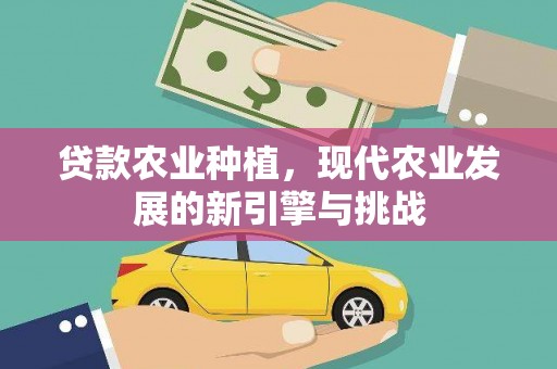 夏邑贷款农业种植，现代农业发展的新引擎与挑战