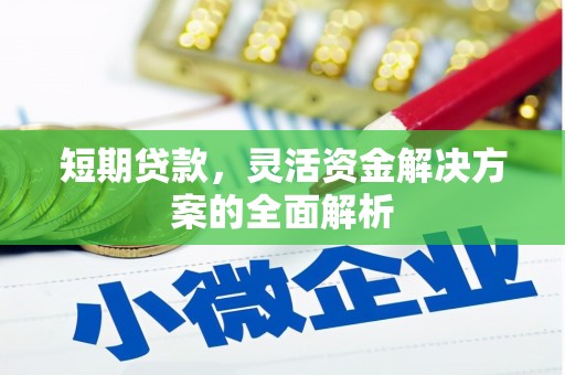 夏邑短期贷款，灵活资金解决方案的全面解析