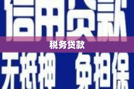 夏邑税务贷款