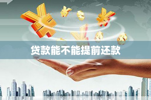 夏邑贷款能不能提前还款