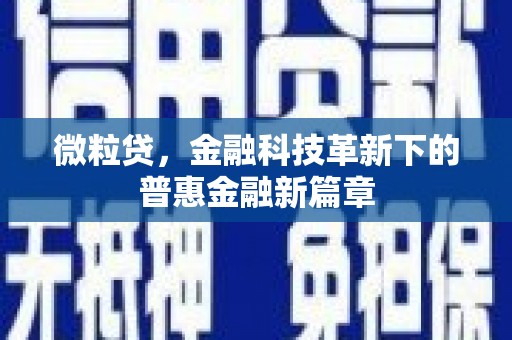 夏邑微粒贷，金融科技革新下的普惠金融新篇章