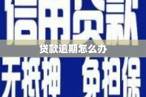 夏邑贷款逾期怎么办