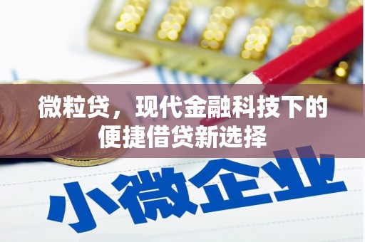 夏邑微粒贷，现代金融科技下的便捷借贷新选择
