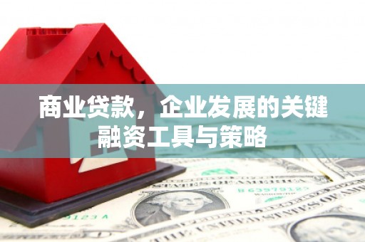 夏邑商业贷款，企业发展的关键融资工具与策略