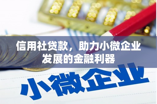 夏邑信用社贷款，助力小微企业发展的金融利器