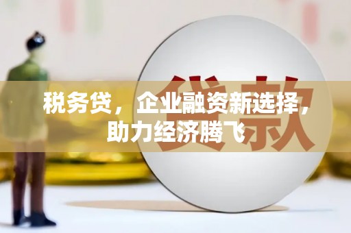 夏邑税务贷，企业融资新选择，助力经济腾飞
