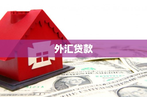 夏邑外汇贷款