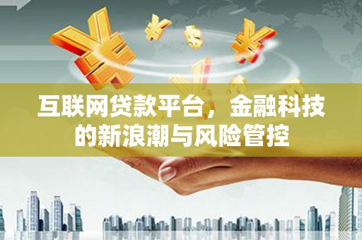 夏邑互联网贷款平台，金融科技的新浪潮与风险管控