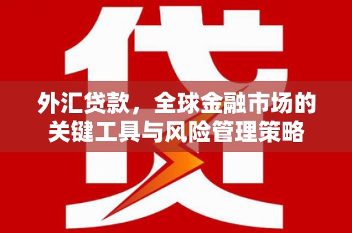夏邑外汇贷款，全球金融市场的关键工具与风险管理策略