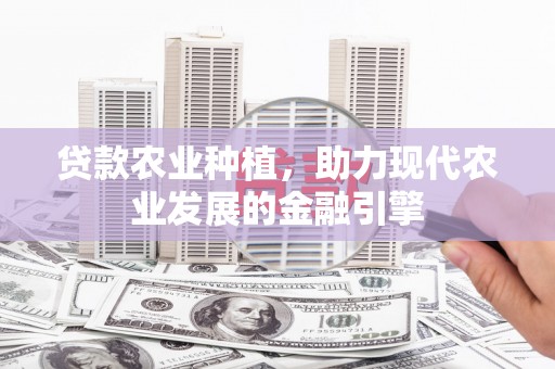 夏邑贷款农业种植，助力现代农业发展的金融引擎