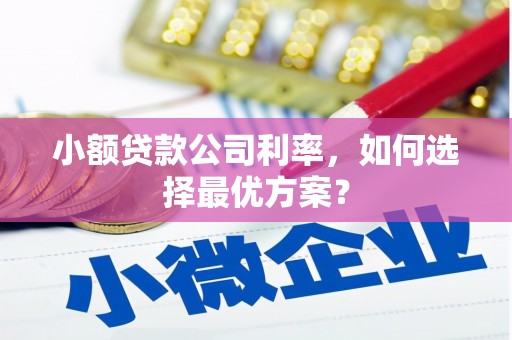 夏邑小额贷款公司利率，如何选择最优方案？