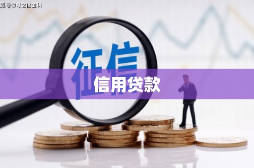 夏邑信用贷款