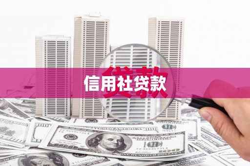夏邑信用社贷款