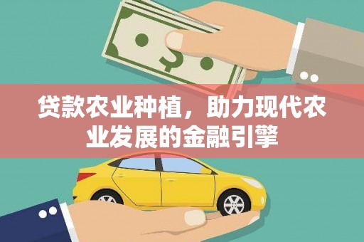 夏邑贷款农业种植，助力现代农业发展的金融引擎