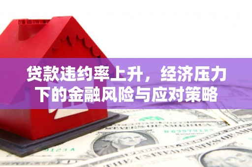 夏邑贷款违约率上升，经济压力下的金融风险与应对策略