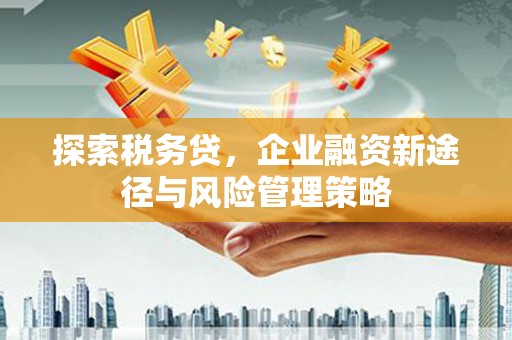 夏邑探索税务贷，企业融资新途径与风险管理策略