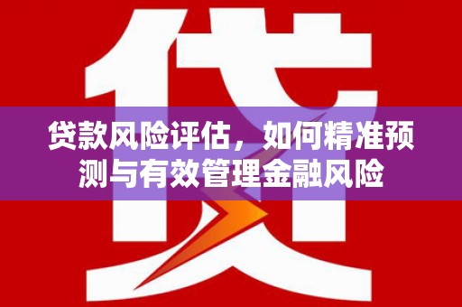 夏邑贷款风险评估，如何精准预测与有效管理金融风险